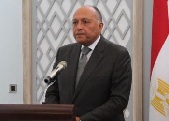 عاجل.. وزير الخارجية المصري يزور تركيا