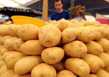 تركيا.. ارتفاع كبير بسعر البطاطس