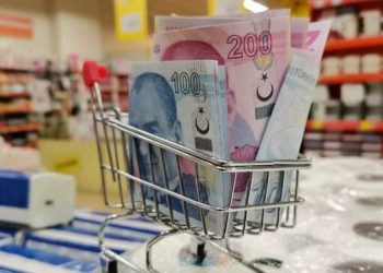 مجموعة مستقلة: التضخم السنوي في تركيا يسجل 112.51