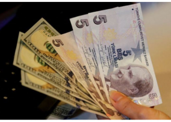 الليرة التركية تتهاوى أمام الدولار واليورو 