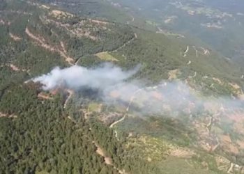 إزمير التركية تحظر دخول 26 منطقة غابات بسبب الحرائق