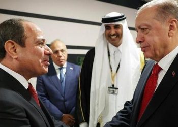 إندبندنت: السيسي يزور تركيا الشهر الجاري