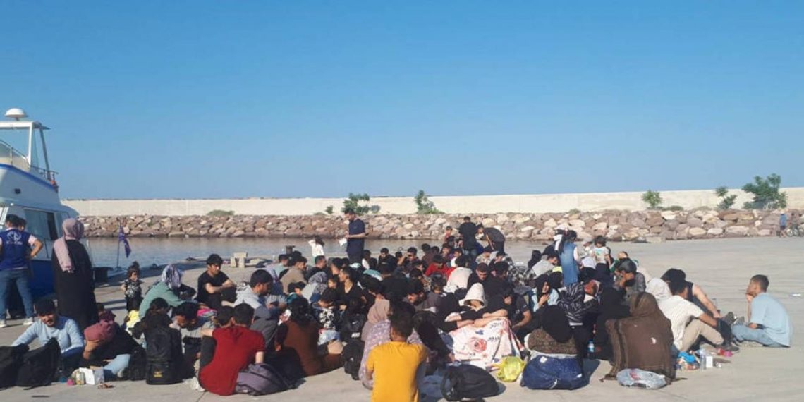 تركيا تعلن تعداد المهاجرين في 2023