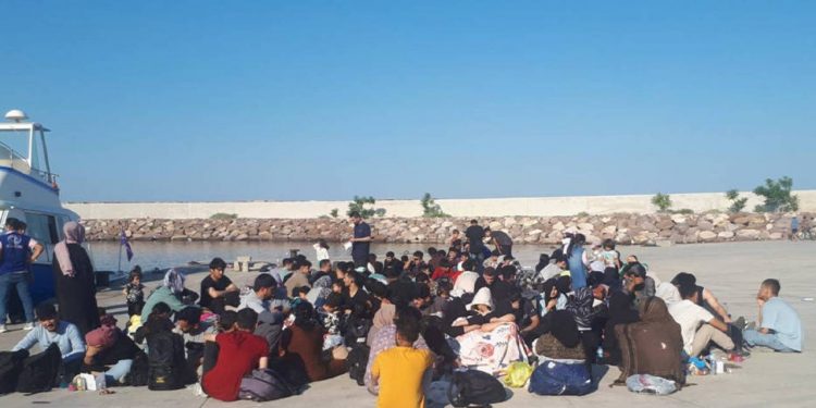 تركيا تعلن تعداد المهاجرين في 2023