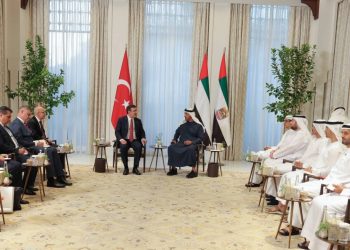 صحفي: الإمارات تفضل التملك في الشركات التركية الرابحة