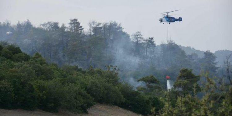 تضرر 170 هكتارًا من الغابات في كوتاهية بسبب الحرائق