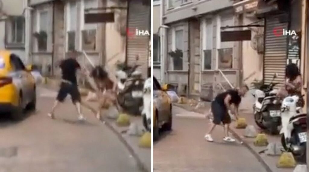 تركيا.. سحب ترخيص سائق اعتدى على سائحة عربية