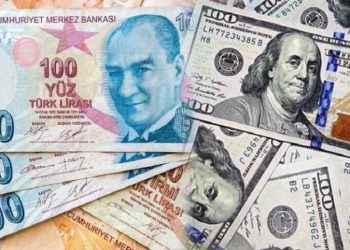 الدولار يسجل ارتفاعًا أمام الليرة التركية