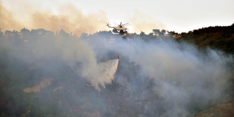 وزير تركي يكشف الخسائر الأولية لحرائق الغابات في 3 ولايات