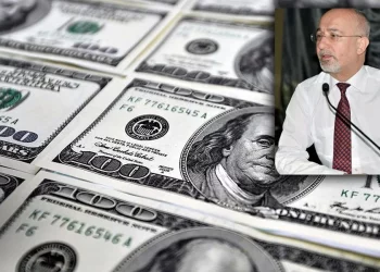 اقتصادي تركي: الدولار لن يتجاوز 30 ليرة حتى موعد عقد الانتخابات