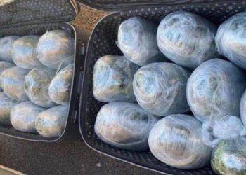 تركيا.. ضبط 19 كجم مخدرات بحوزة شرطيين