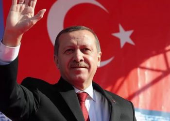 أردوغان وسيناريوهات الولاية الثالثة (٦)