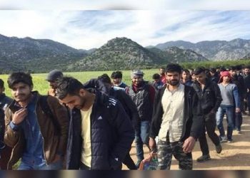 صحفي: عدد الأفغان والباكستانيين في تركيا مجهول!