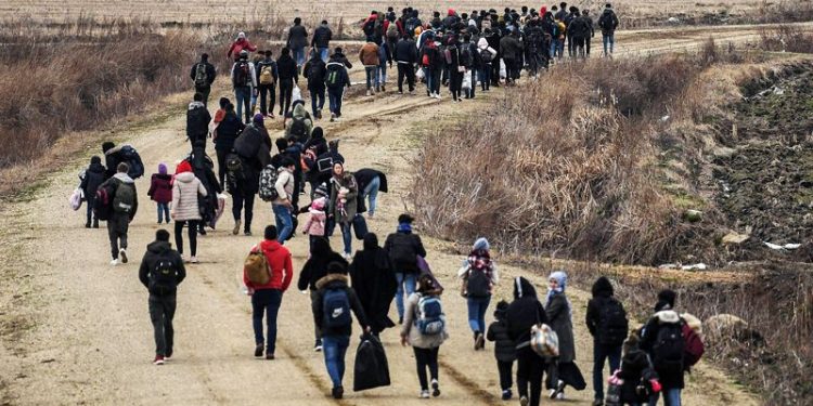 هل يتم تهجير 500 ألف فلسطينيا إلى تركيا؟