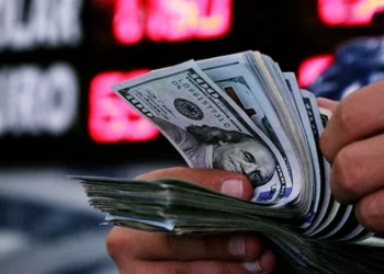 توقعات صادمة من النقد الدولي لسعر الدولار في تركيا