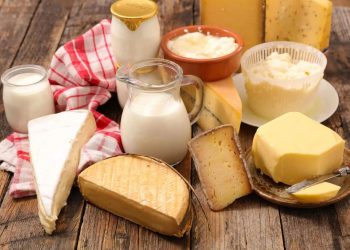 عملاق الألبان في تركيا يطلب تسوية إفلاس