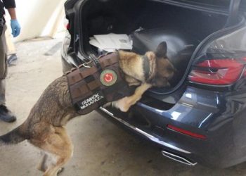 تركيا.. ضبط 54 كجم مخدرات داخل سيارة دبلوماسية