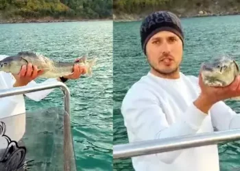 صياد تركي يعيد سمكة بقيمة 2 مليون ليرة إلى البحر مجددا