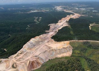 إزالة ملايين الأشجار في تركيا لبناء خط سكة حديد