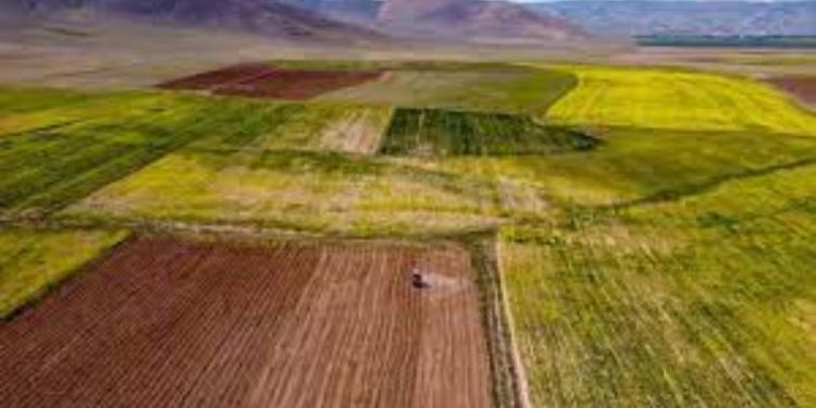 مبيعات العقارات العامة في تركيا تبلغ 4 مليار ليرة