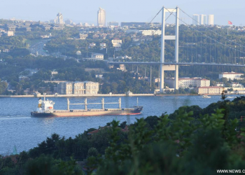 سفينة شحن تصطدم بسفينة ركاب ليبية في البوسفور