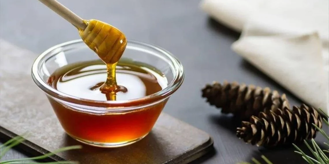 قرار أوروبي بعد اكتشاف عسل مغشوش من تركيا