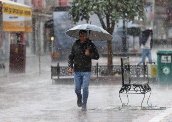 كم يبلغ عدد الأفراد الذين يعيشون بمفردهم في تركيا؟