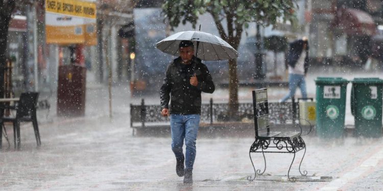 كم يبلغ عدد الأفراد الذين يعيشون بمفردهم في تركيا؟