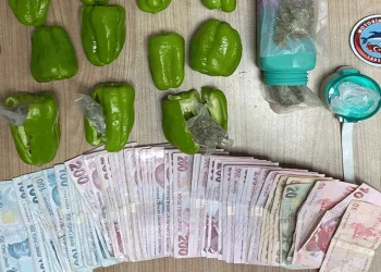 فلفل محشو بالمخدرات في إسطنبول