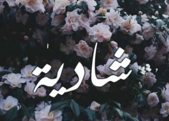 إلا (شادية)