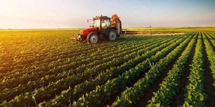 التضخم الزراعي في تركيا يسجل 49.92%