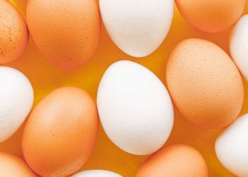 تركيا تستورد أطنان من المنتجات الزراعية والماشية من السودان