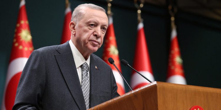 صحفية: أردوغان يوبخ الحكومة بسبب الكلاب الضالة