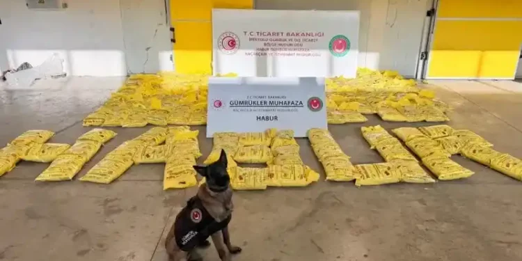ضبط مليون حبة مخدرة في تركيا