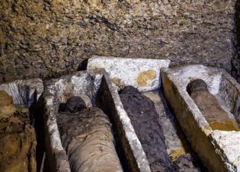 “مدينة الموتى” اكتشاف جديد للآثار الفرعونية في مصر