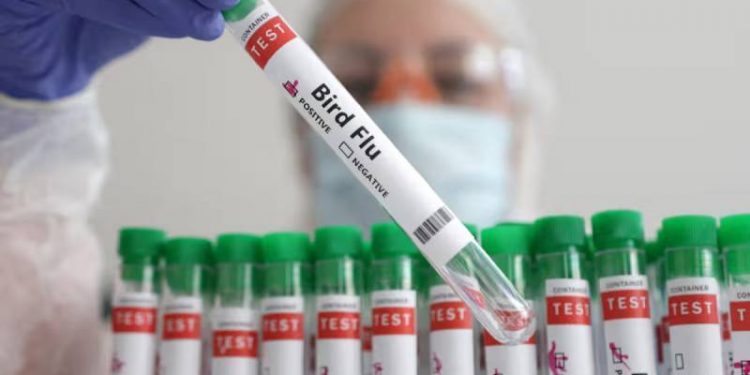 وفاة أول حالة بأنفلونزا الطيور (A (H5N2