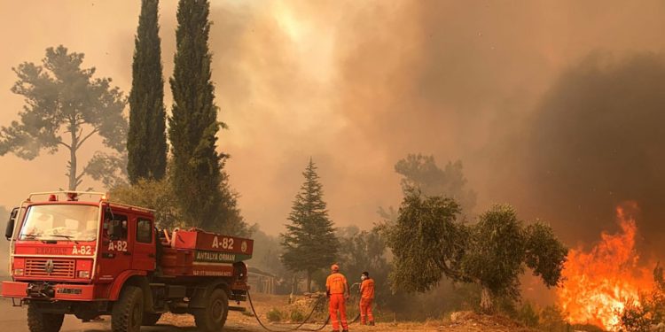 حرائق الغابات في “ديار بكر” و”ماردين” توقع عشرات الضحايا