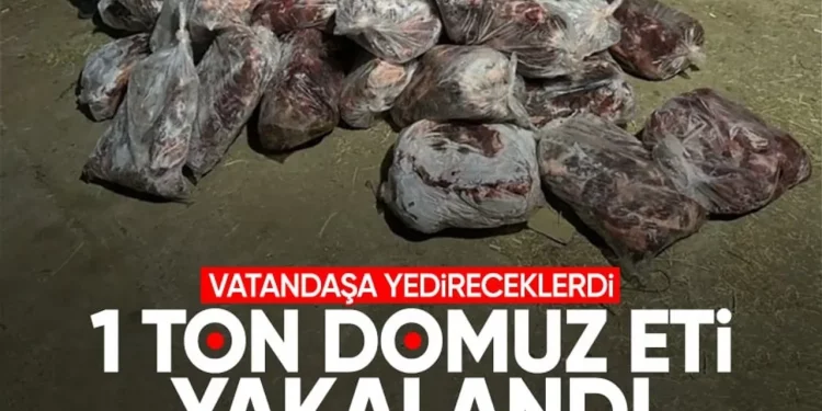 تركيا..ضبط طن لحوم خنزير في أيدين!