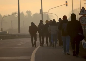 اعتقال 12 مهاجرًا غير شرعي في أدرنة