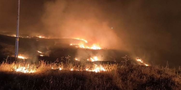 وفيات وخسائر فادحة للمزارعين جراء حرائق ماردين وديار بكر