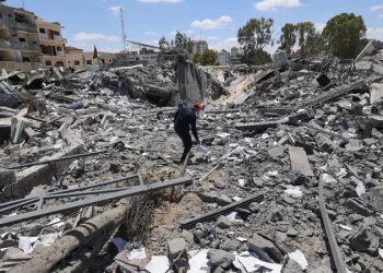 أيمن سلامة: قرار مجلس الأمن بشأن غزة يفتقر لأهم آلية