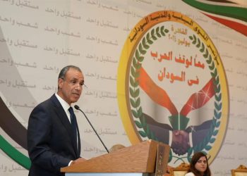 وزير الخارجية المصري: حل أزمة السودان يجب أن يكون بقيادة سودانية