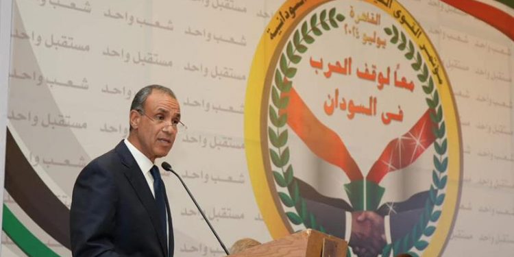 وزير الخارجية المصري: حل أزمة السودان يجب أن يكون بقيادة سودانية