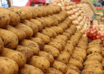 برلماني سابق: تركيا تحولت من الإنتاج الزراعي إلى الاستيراد