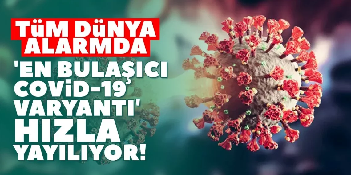 سلالة كورونا الأكثر عدوى تنتشر بسرعة في الولايات المتحدة!