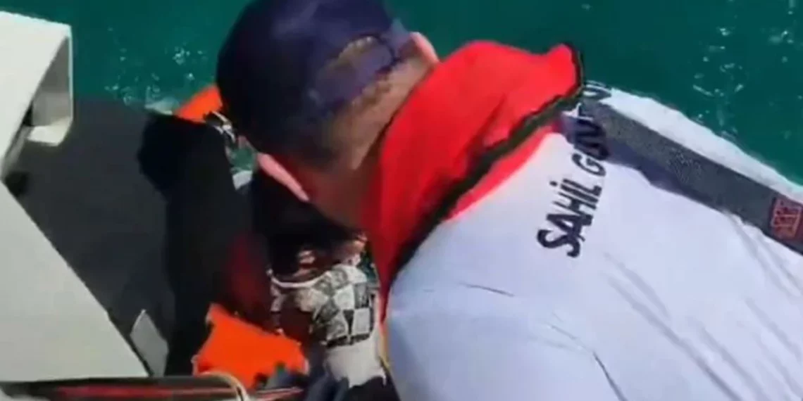 إنقاذ 19 مهاجرًا غير نظامي في إزمير وانتشال 7 جثث