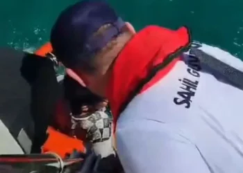 إنقاذ 19 مهاجرًا غير نظامي في إزمير وانتشال 7 جثث