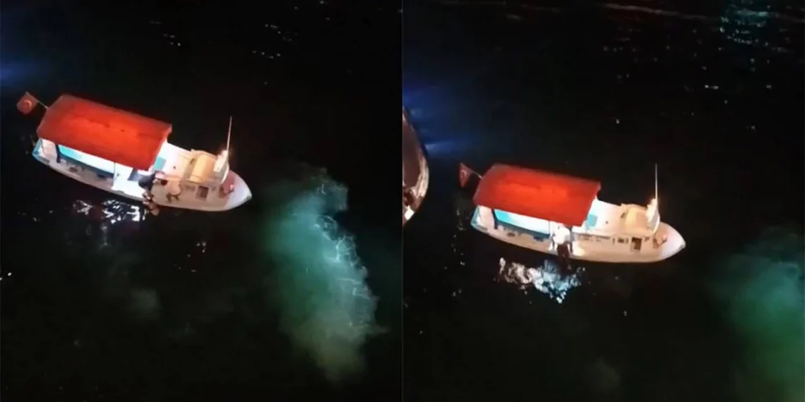 تركيا.. سيدة تسقط في البحر خلال إلتقاط “سيلفي”