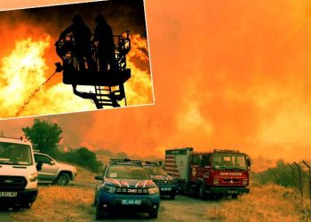 حرائق إزمير تتواصل لليوم الثاني والنيران تلتهم ألف و600 هكتار