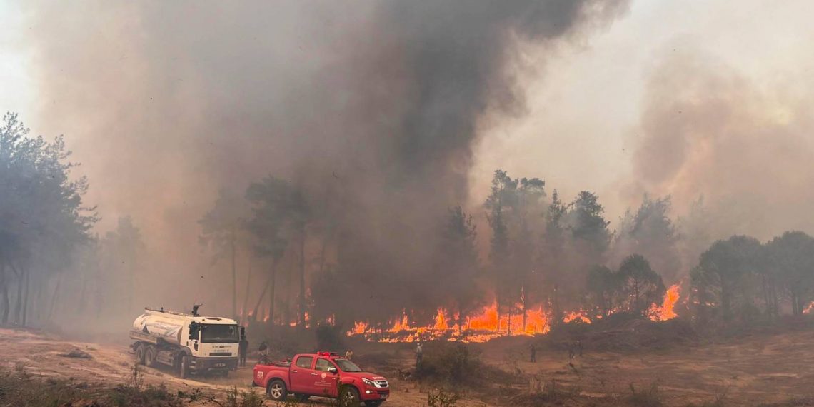 تركيا.. اعتقال 3 تسببوا بحريق في ولاية آيدن